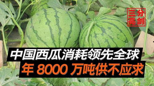 中国免费吃瓜