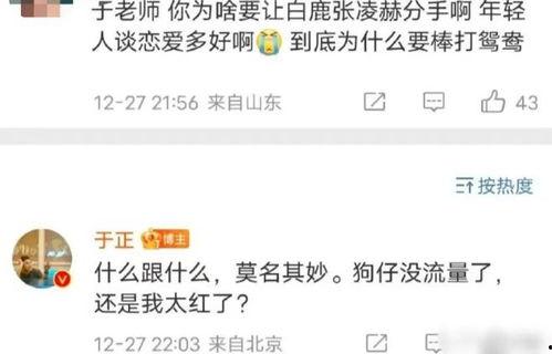 今日娱乐爆料白鹿视频,神秘剧情引网友热议