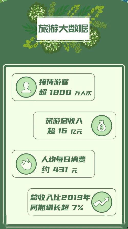 雷州大爆料头条最新消息,最新消息震撼来袭！揭秘惊人真相！  第2张